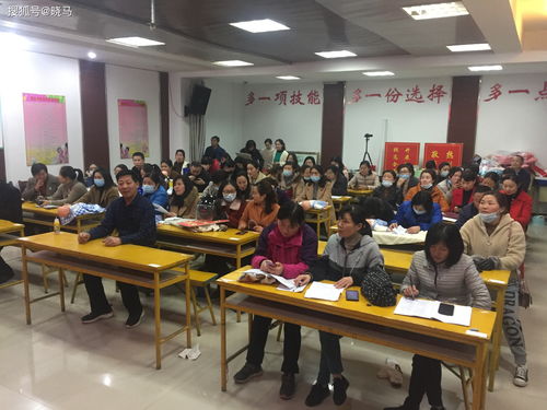 2020洪澤區職工技能大賽頒獎暨2021年第一期養老護理員培訓 開展影視專業技術培訓